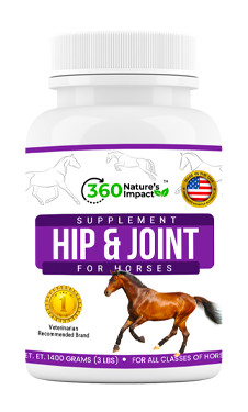 Hip & Joint Supplement for Horses - MSM Horse Joint Supplement Enriched with Glucosamine and Chondroitin - Hip & Joint Health Supplement for Horses - Made in USA - 1400 Grams (3lbs)